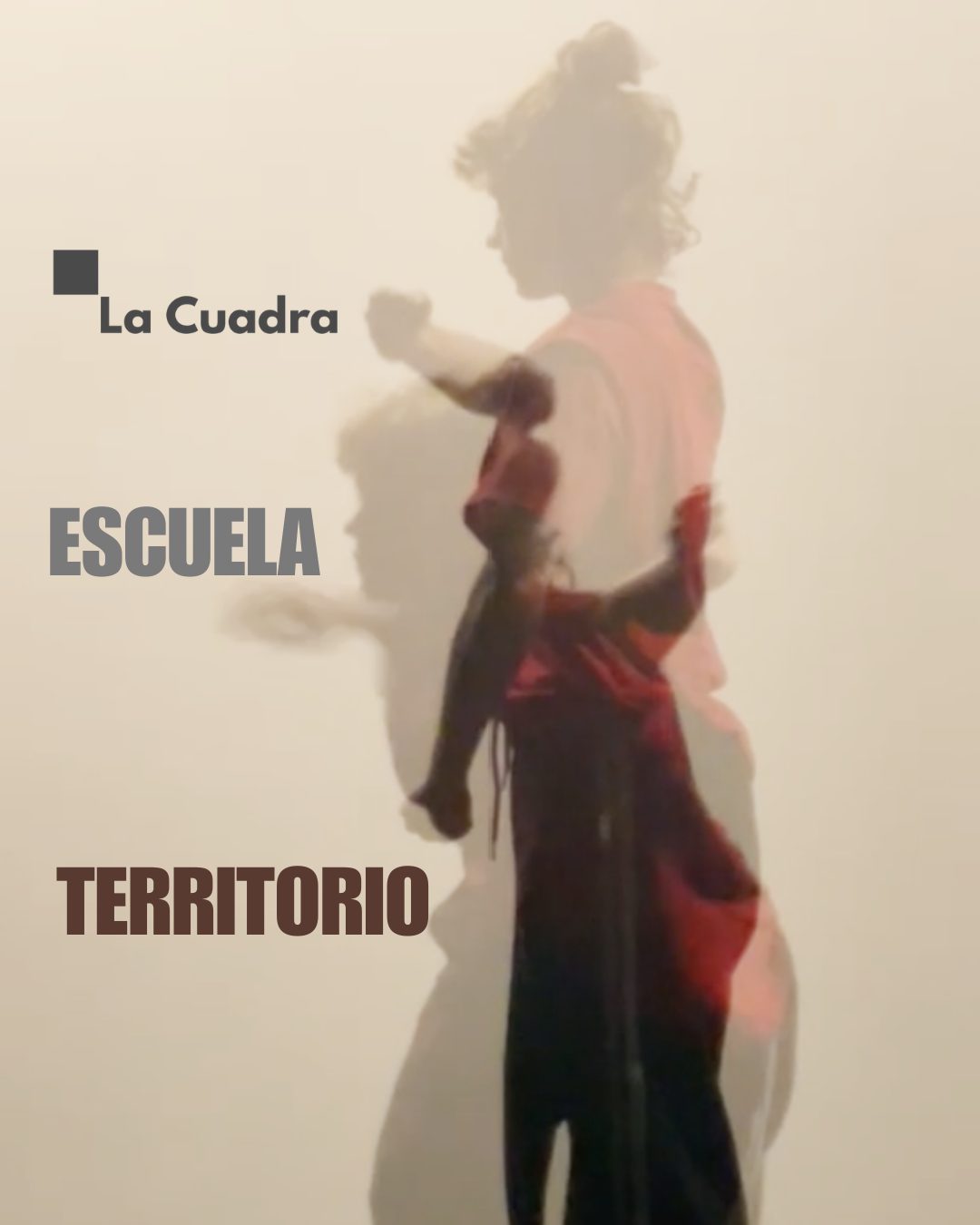 Escuela Territorio(2)